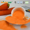 Nicht gefriergetrocknetes Karottenextraktpulver für Babynahrung